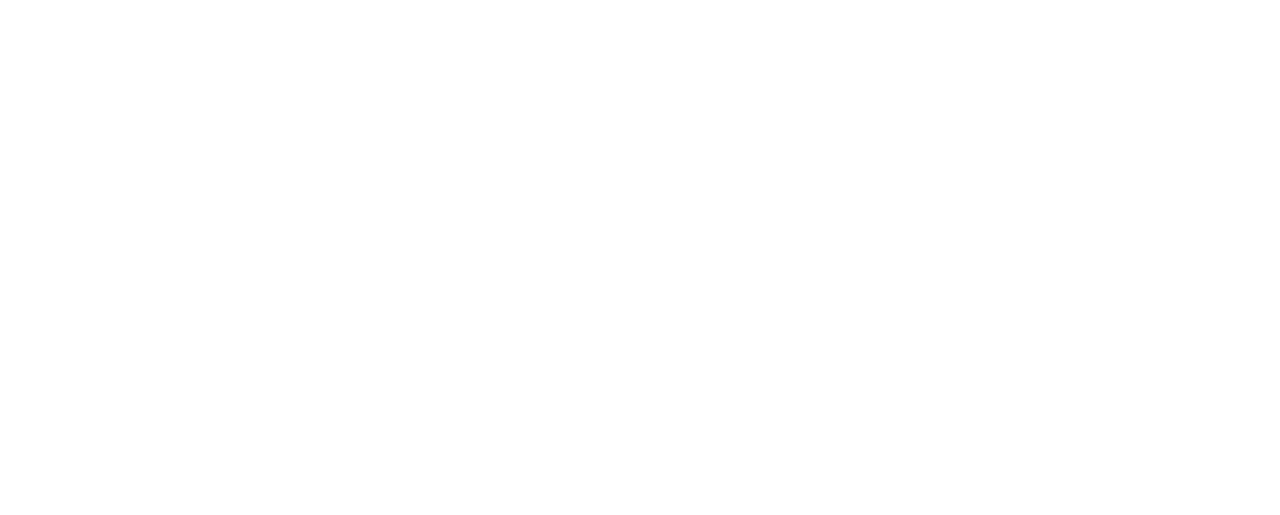 Logo HTM WIT